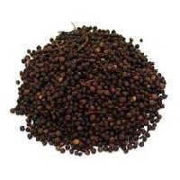 Black Pepper Seeds