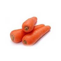 Carrot