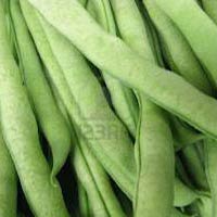 French Beans