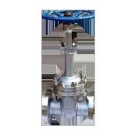 Extended Bonnet Gate Valve