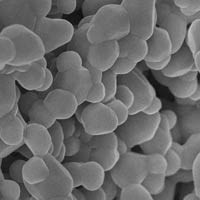 Zinc Oxide Nanoparticles