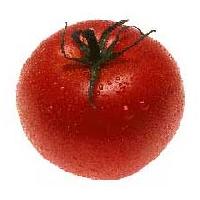 Fresh Tomato