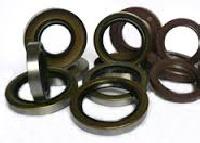 Rotary Shaft Seals