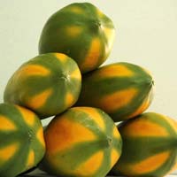 Papaya