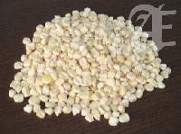 White Maize