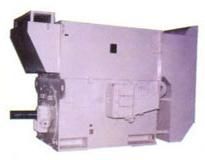 High Voltage Motors