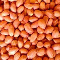 Groundnuts