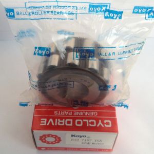 Eccentric Bearings