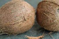 raw matured coconuts