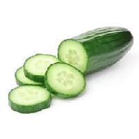 Cucumber Suppliers