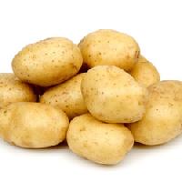 Potato Suppliers