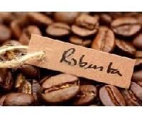 Robusta Coffee