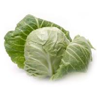 Fresh Cabbage