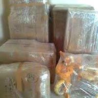 Water Proof Packing Services