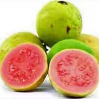 Guava fruit lalit