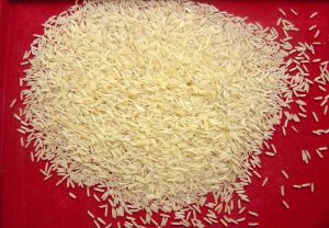 1509 Basmati Rice