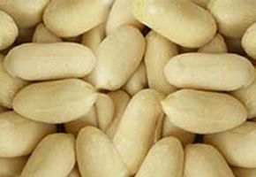 Blanched Bold Peanuts