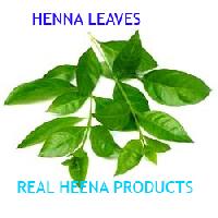 Henna Leaves