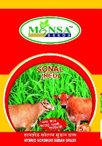 Hybrid Sorghum Sudan Grass Seeds