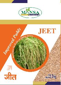Improved Paddy Seeds
