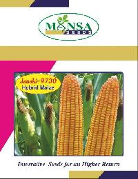 Maize Seeds (Janki-9730)