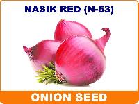Nasik Red Onion Seeds