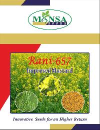 Yellow Mustard Seeds(Rani - 657)