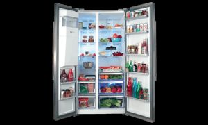 Freestanding Refrigerator