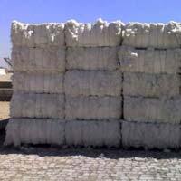 Cotton Bale