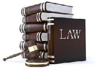 Legal and Para Legal Consultant