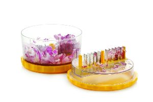 Multi Vegetable Crusher
