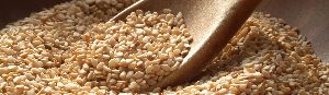 Sesame Seeds (Hulled)