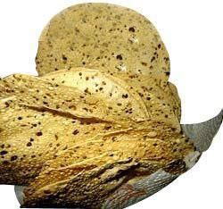 Black Pepper Papad