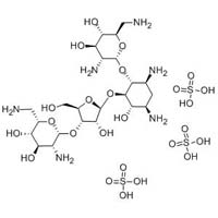 Neomycin Sulphate