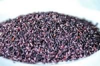 Black Rice