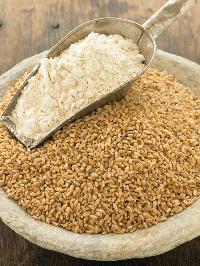 Organic Wheat Flour