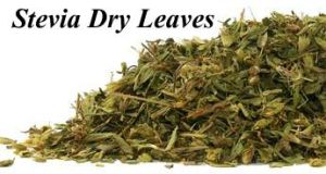 Stevia Dry Leaves