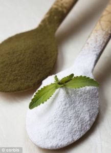 Stevia Extract Powder