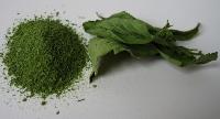 We Supply Stevia Leaves Powder Sweeter