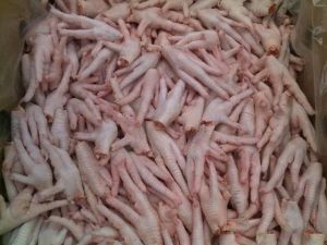 Unprocessed Chicken Feet