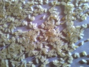 IR 36 Parboiled Rice