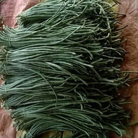 Green Bean / Luffa