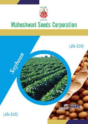 JS-335 Soybean Seeds