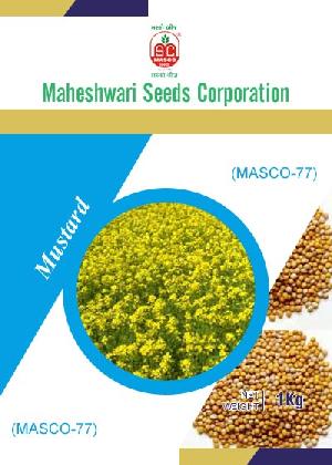Masco-77 Mustard Seeds