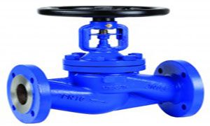 Globe Valves