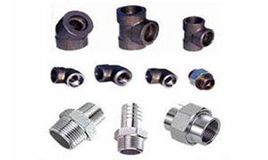 Hastelloy Pipe Fittings