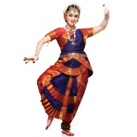 bharatanatyam dance costume