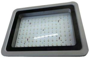 Led Flood Light