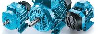 Electric Induction Motor