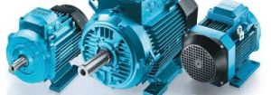 Electric Induction Motor